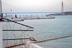 Sariyer-Altinkum-Plaji-42